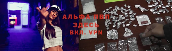 экстази Белая Холуница
