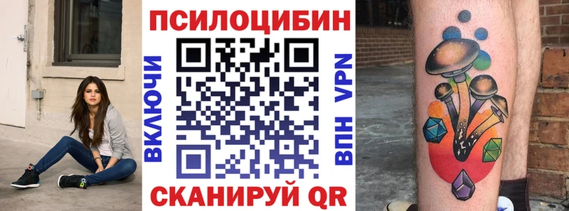 как найти закладки  Ряжск  kraken   Галлюциногенные грибы Magic Shrooms 